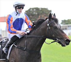 Adin Thompson and Heroic Son make their way back to scale after the colt's debut win

Photos: Graham Potter