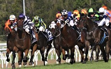 Desert Lord (in the purple cap second from left) chasing hard in the Sunshine Coast Cup finish.

Photos: Graham Potter