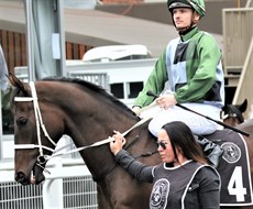 Incentivise ... a tough act to follow, but Gypsy Goddess could be on her way

Photos: Graham Potter