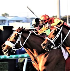 Getting Wham home in a driving finish at Doomben on Saturday