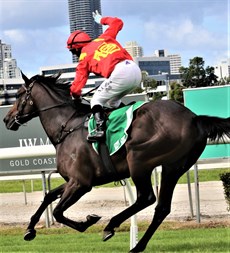 Callow raises his hand to the sky in a special salute when winning at the Gold Coast aboard Sacred Oath, a horse that was part-owned by the late Shane Warne