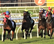 Mark Du Plessis (green cap) switches Oakfiled Twilight out around Swanston's heels ...