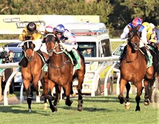 ... giving his all in the Toowoomba Cup (on the inside)