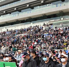 Part of the 45 305 crowd at Sha Tin on Sunday (above) and the iconic Happy Valley race track (below) ... racing doesnt get much better than this
