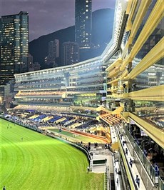 The lure of the magificent Happy Valley racetrack (above) or the main feature race action at ShaTin ... it is almost too much for a true racing enthusiast to resist