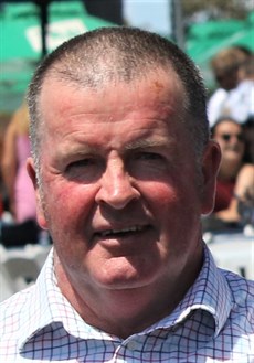 Michael Nolan ... his stable also loads up with two pronged attack with Kisukano and Northern Express

 Photos: Graham Potter and Darren Winningham