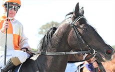 ... and the happy return to scale after that feature race win

Photos: Graham Potter