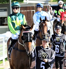 Top Fun, pictured in the pre-race parade  before the running of the $500 000 Jewel (above and below)