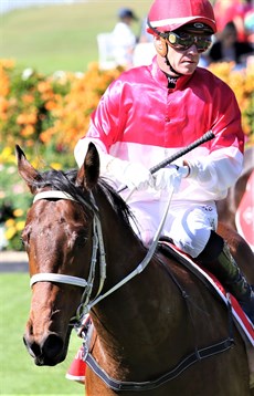 Highbar returns to scale after his debut win in which he trounced the opposition (see below)