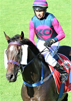 Sammy (abive and below) pictured at his last win at the sunshine Coast)