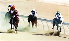 Torbreck ... finishing second in the Birdsville Cup