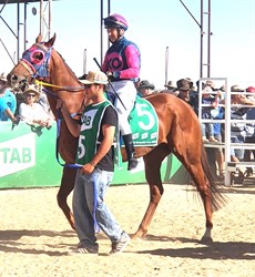 Torbreck ... ready to rumble at Birdsville where he finished second in the Cup (see below)