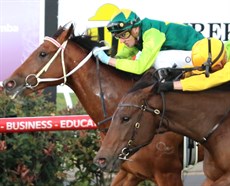 The angle is deceptive ... many people thought that Yellow Brick (on the inside) had held on ... but  the photo finish showed that All That Pizzazz's late dive had done just enough to snare the race favourite by the narrowest of margins