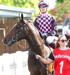 The six-year-old looked a picture on his return to racing at Doomben on Saturday
