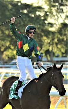 Tim Clark brings Alligator Blood back to scale after his Stradbroke win. His is now of action for a long period of time ...  with retirement a very strong possiblity ... but one very big chapter of his story remains to be completed