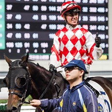 Thompson brings Courier Magic back to scale after his breakthrough win at Happy Valley

Photo: Courtesy Hong Kong Jockey Club