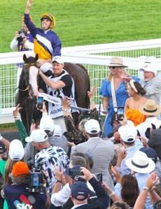 One of the season's magical moments ... Martin Harley brings Abounding back to scale after their Magic Millions Three-Year-Old Guineas triumph

Photo: Graham Potter