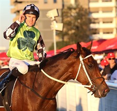 Tommy Berry and Imperialist come back to scale after winning the Rough Habit Plate (see below)