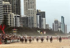 Beach gallops 166