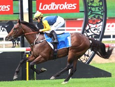 Warwoven

Photos: Graham Potter