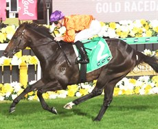 Photos: Graham Potter