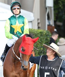 Yellow Brick ... on his way out to contest The Stradbroke ...