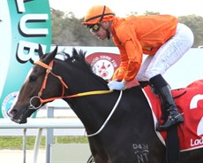 Speed Legend was one of three Massingham stable winners on Friday. They could be on their way to a very big weekend