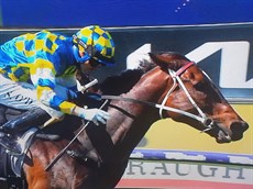 Joker's Grin

Photo; Sky Racing