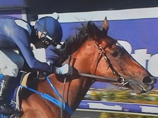 Luana Miss

Photo: Sky Channel