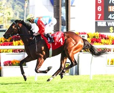 Photos: Hong Kong Jockey Club