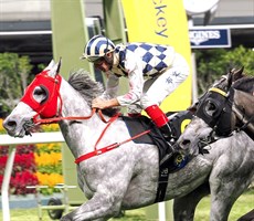 Bowman clinches the deal aboard All Cash at Happy Valley

Photo: Hong Kong Jockey Club