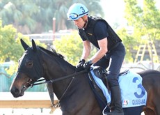 Quisisana 

Photos: Darren Winningham</b.