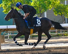 Beauvatier

Photos: Darren Winningham and Tim Clayton