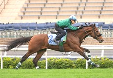 Photos: Darren Winningham and Hong Kong Jockey Club