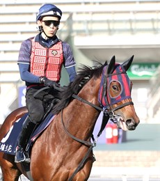 Embroidery

Photos: Darren Winningham