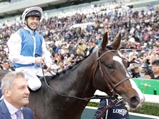 Photos: Darren Winningham