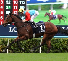 Photos: Darren Winningham