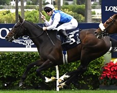 Photos: Tim Clayton</b.