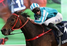 Photos: Darren Winningham and Tim Clayton