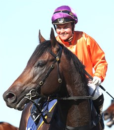 Grafterburners and Cejay Graham (above and below) ... my pick in the Listed Gold Edition Plate (see race 7)