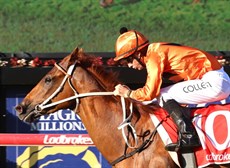 Photos: Graham Potter