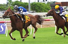 A full house fir the Kris Lees stable at Eagle  Farm ... two runners, two winners 