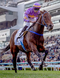 ... and Little Paradise

Photos: Hong Kong Jockey Club