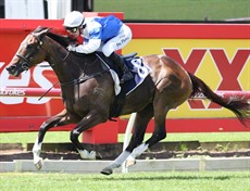 Photos: Darren Winningham