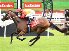 Photos: Darren Winningham