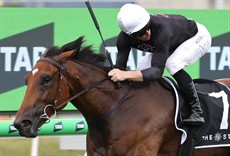 Photos: Graham Potter and Darren Winningham