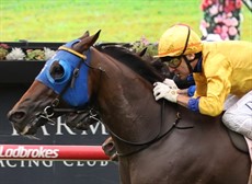 Photos: Darren Winningham and Graham Potter