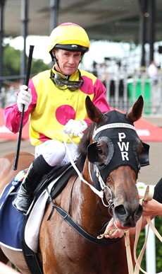 Mark Du Plessis and the Pat Webster trained Apostle in the winners' enclosure at Eagle Farm

Photo: Darren Winningham</b.