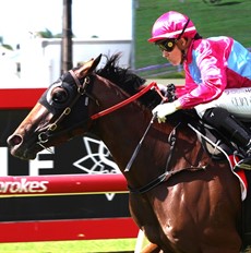 Philia

Photo: Graham Potter