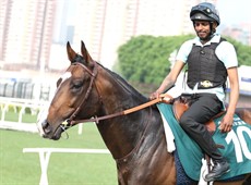 All Photos: Darren Winningham